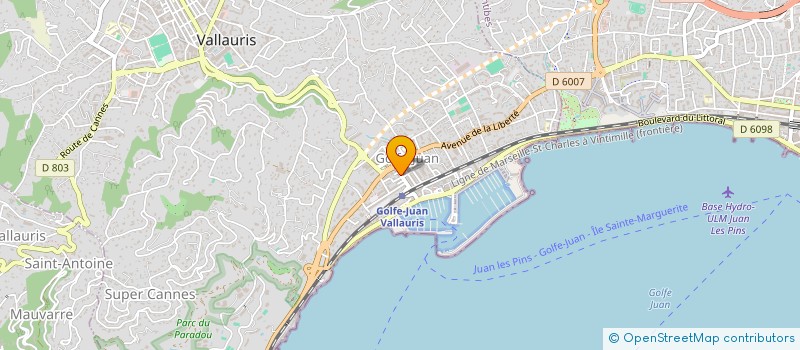 localisation de l'entreprise MS DOVA  VALLAURIS