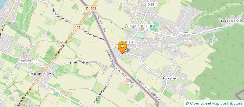 localisation de l'entreprise MS IMMOBILIER  VEIGY-FONCENEX