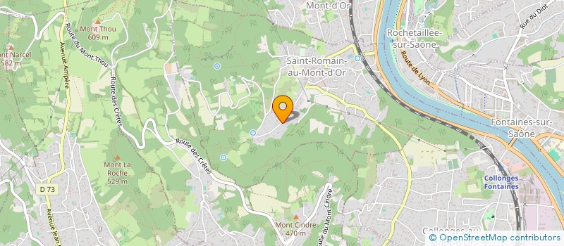 localisation de l'entreprise MS INVEST  SAINT-ROMAIN-AU-MONT-D'OR