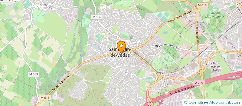 localisation de l'entreprise MS ORTHOSUD à SAINT-JEAN-DE-VEDAS