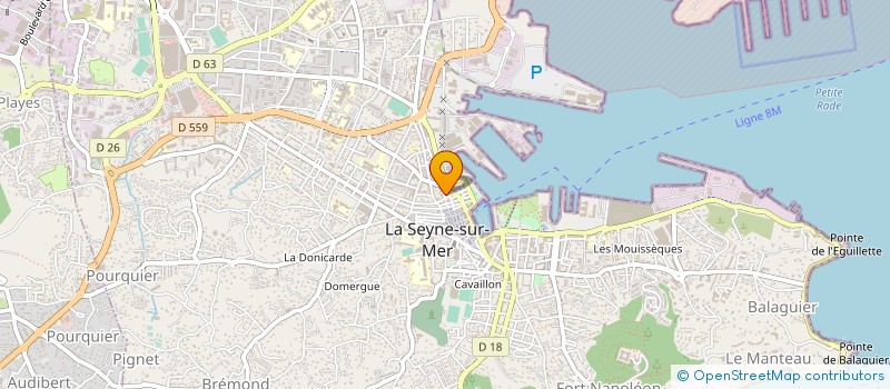 localisation de l'entreprise MS VIANDES à LA SEYNE-SUR-MER