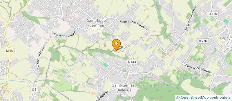 localisation de l'entreprise MSA  SAINT-LOUP-CAMMAS