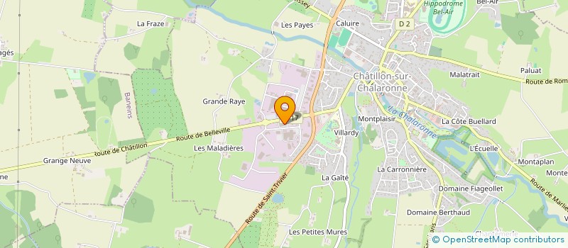 localisation de l'entreprise MSA PRODUCTION FRANCE à CHATILLON-SUR-CHALARONNE