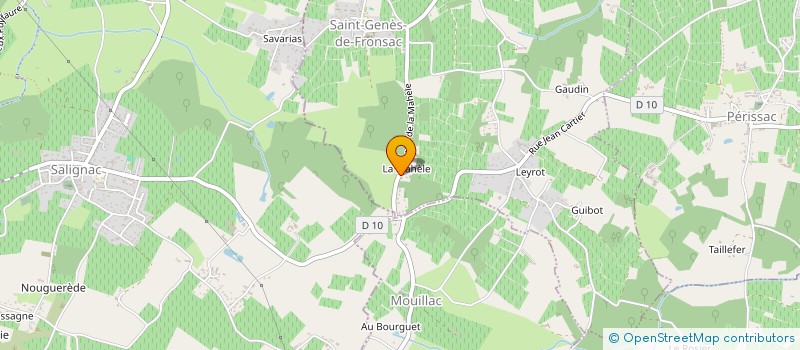 localisation de l'entreprise MSAE  SAINT-GENES-DE-FRONSAC