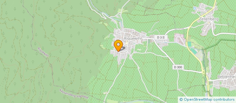 localisation de l'entreprise MSG à RIQUEWIHR