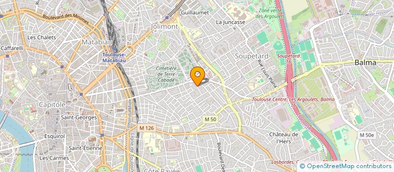 localisation de l'entreprise MSI CONSULTING  TOULOUSE