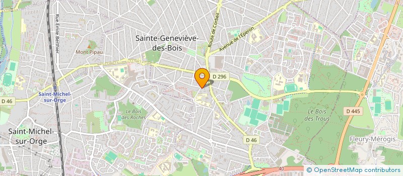 localisation de l'entreprise MSI DEPANNAGE à SAINTE-GENEVIEVE-DES-BOIS