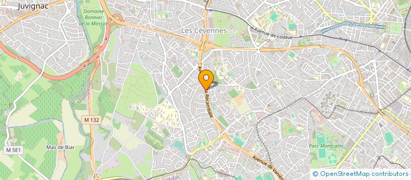 localisation de l'entreprise MSK AUTOMOBILES à MONTPELLIER