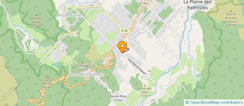 localisation de l'entreprise MSM  LA PLAINE-DES-PALMISTES