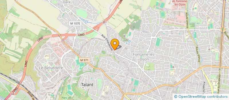 localisation de l'entreprise MSN CONSEIL & EXPERTISE à FONTAINE-LES-DIJON