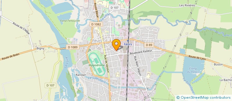 localisation de l'entreprise MSP DE FEURS  FEURS