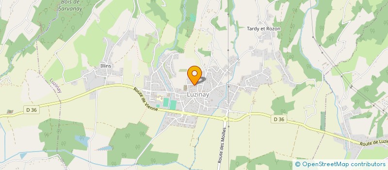 localisation de l'entreprise MSP DE LUZINAY  LUZINAY