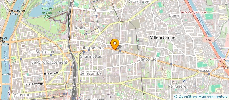 localisation de l'entreprise MSP DU PETIT CHATEAU  VILLEURBANNE