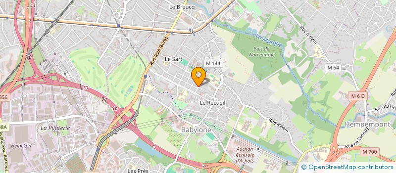 localisation de l'entreprise MSRACK à LILLE