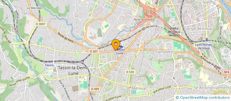 localisation de l'entreprise MT 6  TASSIN-LA-DEMI-LUNE