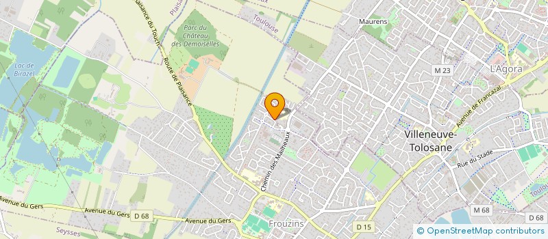 localisation de l'entreprise MT TAXI 31  FROUZINS