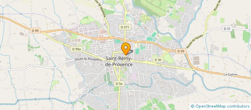 localisation de l'entreprise MTN FLEURS à SAINT-REMY-DE-PROVENCE