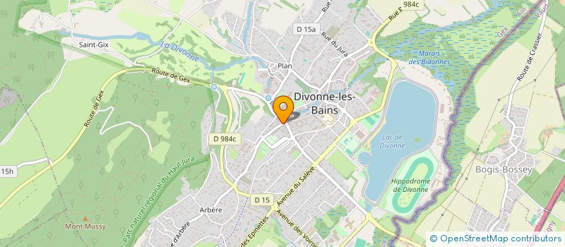 localisation de l'entreprise MTV 2000  DIVONNE-LES-BAINS