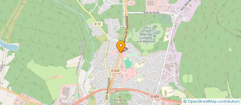 localisation de l'entreprise MULHOUSE  SAINT-AVOLD