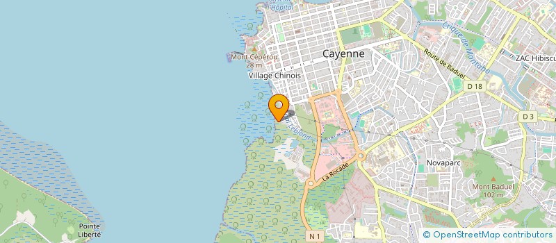 localisation de l'entreprise MULTI SERVICES WANI  CAYENNE