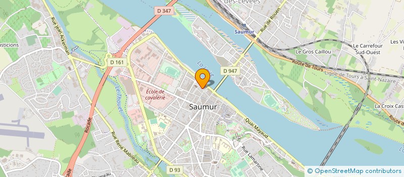 localisation de l'entreprise MULTIDISCIPLINAIRE POUR LE DEVELOPPEMENT DE LA PRISE EN CHARGE GLOBALE DANS LES SYNDROMES DOULOUREUX ET LES PATHOLOGIES à SAUMUR