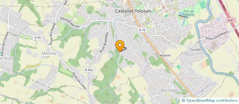 localisation de l'entreprise MULTISERVICES J.L. à CASTANET-TOLOSAN