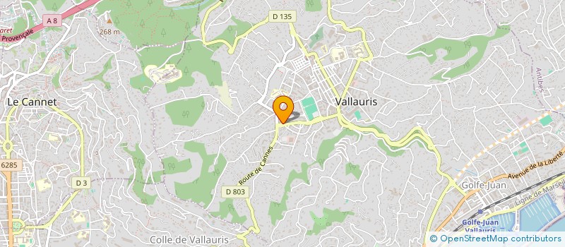 localisation de l'entreprise MULTIVIX TECHNOLOGIES à VALLAURIS