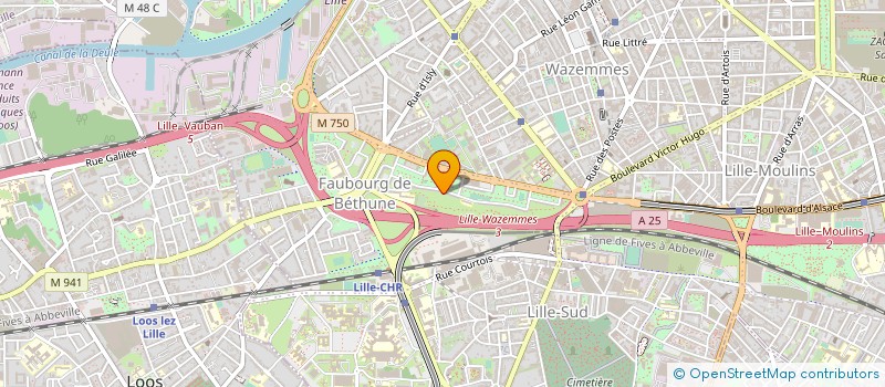 localisation de l'entreprise MUR ALLU à LILLE