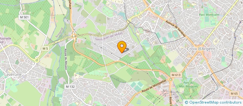 localisation de l'entreprise MURS SAUVAGES à SAINT-JEAN-DE-VEDAS