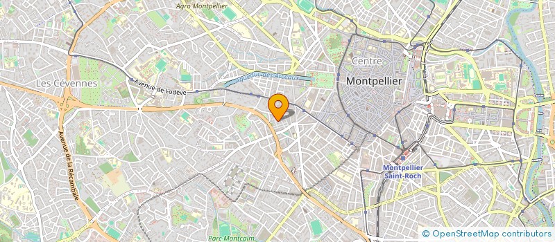 localisation de l'entreprise MUSEE TRANSVERSAL à MONTPELLIER