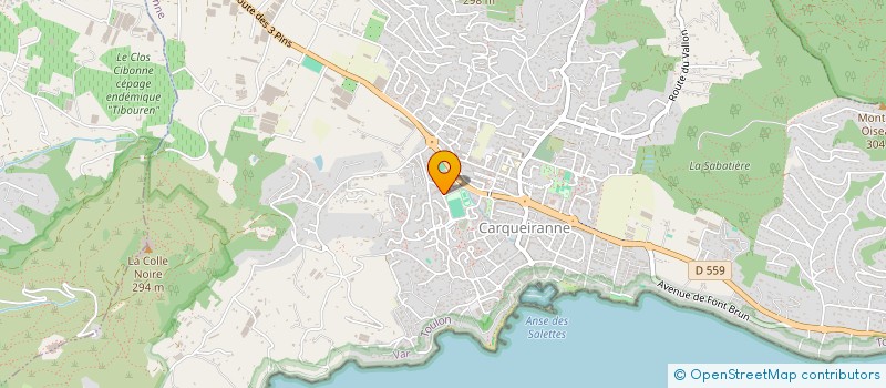 localisation de l'entreprise MUSICA  CARQUEIRANNE