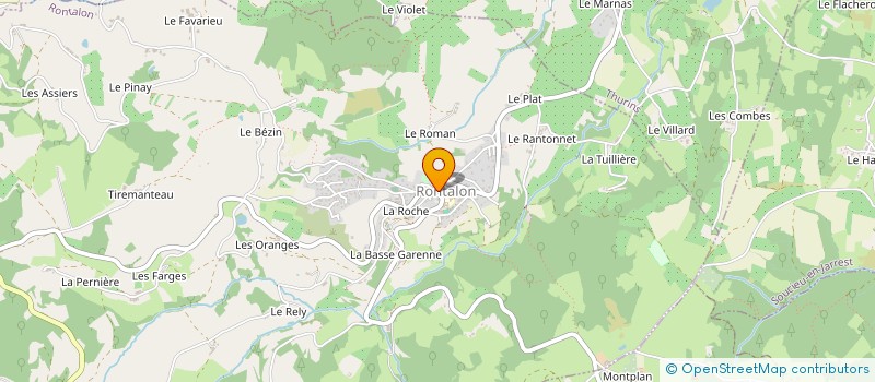 localisation de l'entreprise MUSIQUE A RONTALON  RONTALON