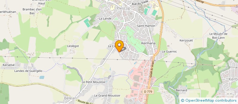 localisation de l'entreprise MUSTARD SEED IMMOBILIER  PLESCOP