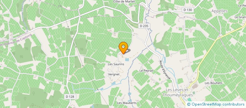 localisation de l'entreprise MVE SAS à SAINT-QUENTIN-DE-CAPLONG