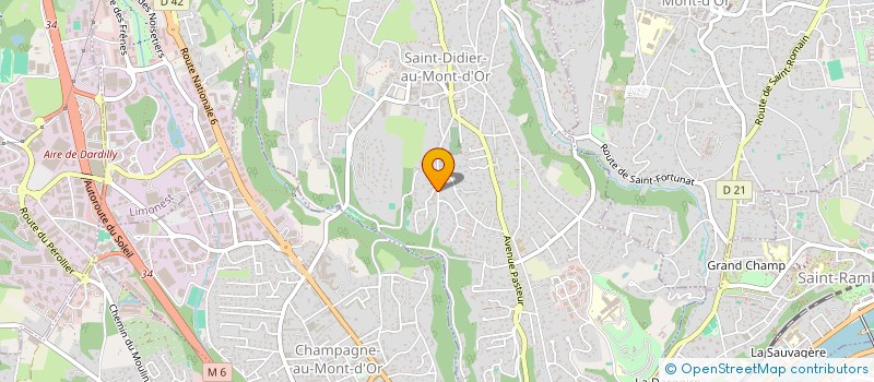localisation de l'entreprise MY FALLING STAR  SAINT-DIDIER-AU-MONT-D'OR
