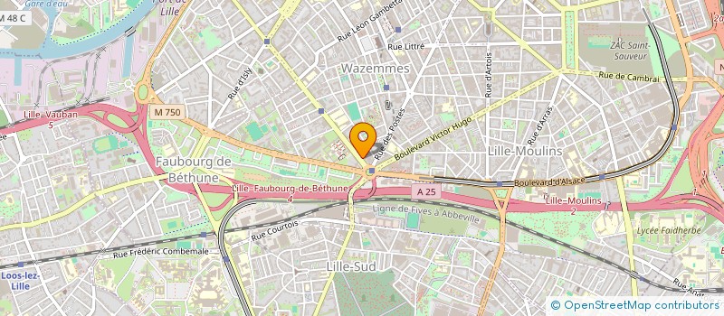 localisation de l'entreprise MY PIZZA à LILLE