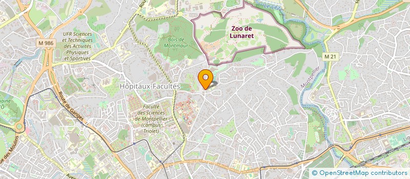 localisation de l'entreprise MY SERVICES à MONTPELLIER