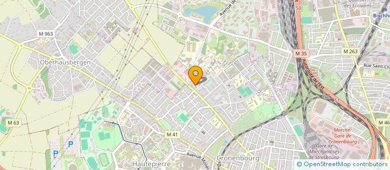 localisation de l'entreprise MZ TRANSPORTS  STRASBOURG