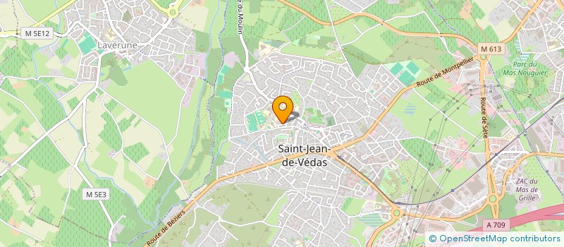 localisation de l'entreprise MZN LOGISTICS  SAINT-JEAN-DE-VEDAS