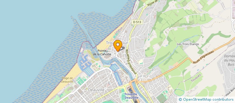 localisation de l'entreprise N 14 VICTOR HUGO  TROUVILLE-SUR-MER