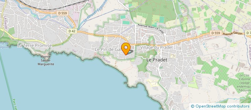 localisation de l'entreprise N FERMON CONSEIL  LE PRADET