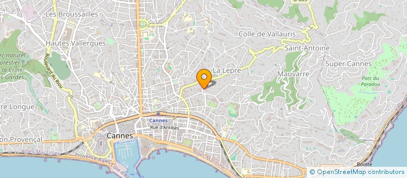 localisation de l'entreprise N&G REAL ESTATE  CANNES