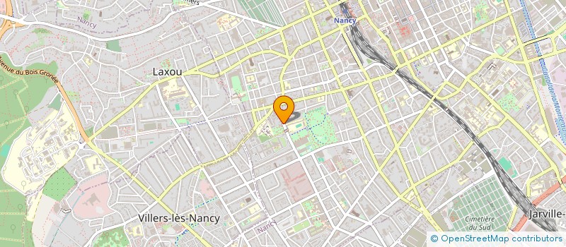 localisation de l'entreprise N'IGUANE  NANCY