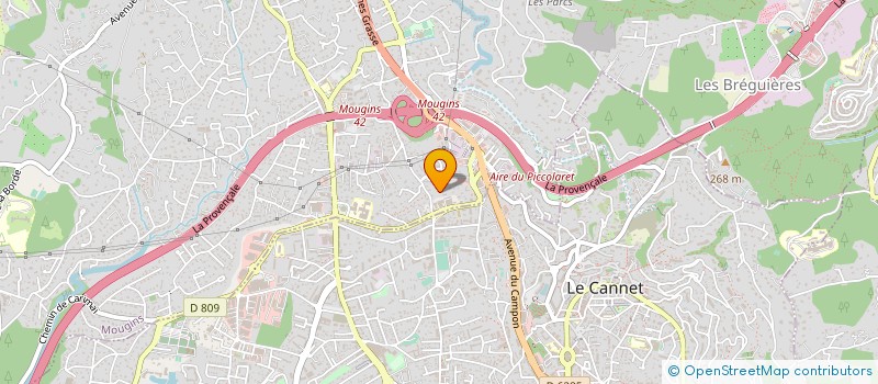 localisation de l'entreprise N P C à MOUGINS