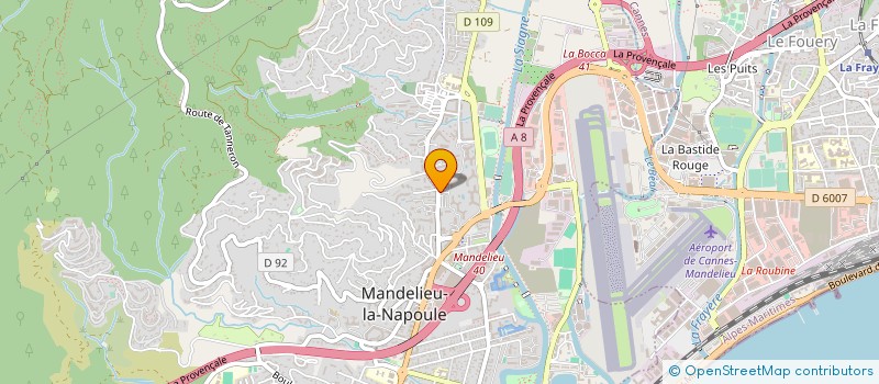 localisation de l'entreprise N.S.S.V  MANDELIEU-LA-NAPOULE