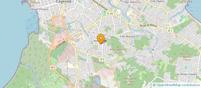 localisation de l'entreprise N.U PIZZA  CAYENNE