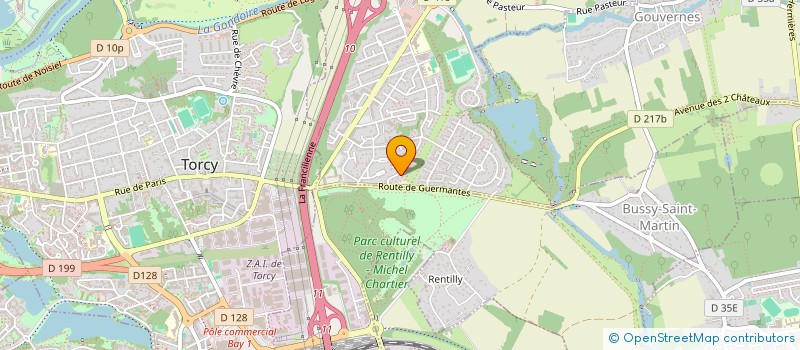 localisation de l'entreprise N-ZINE  SAINT-THIBAULT-DES-VIGNES