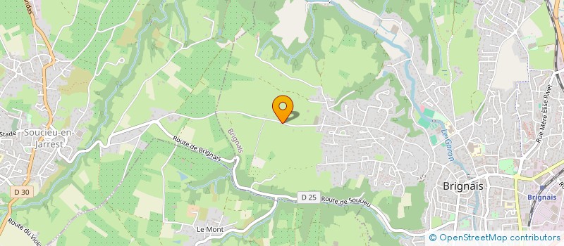 localisation de l'entreprise N2MT à BRIGNAIS