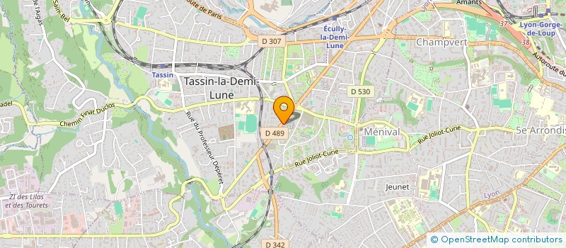 localisation de l'entreprise N2R INVESTISSEMENTS  TASSIN-LA-DEMI-LUNE