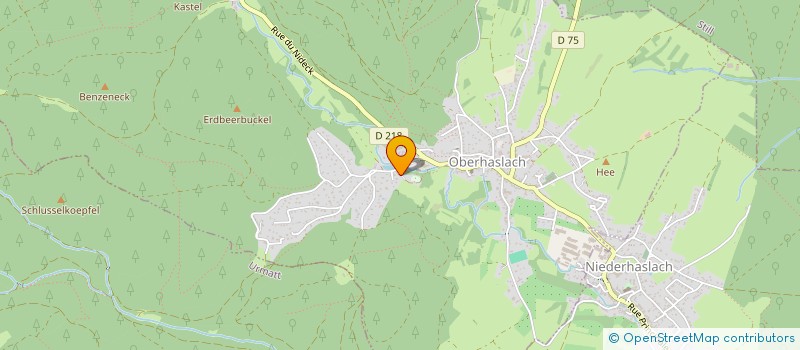 localisation de l'entreprise NAAS  OBERHASLACH